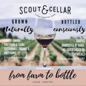 Scout & Cellar Clean-Crafted Wine